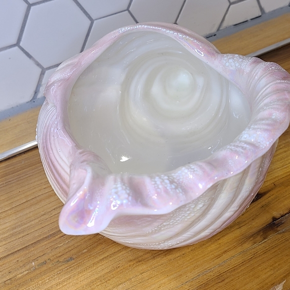 Porcelain Sea Shell - Picture 3 of 6